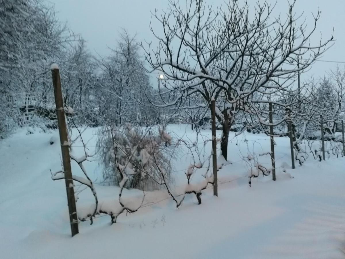 Maso Daue Villa Marter Eksteriør bilde
